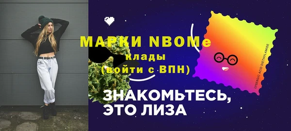 мдпв Лабытнанги