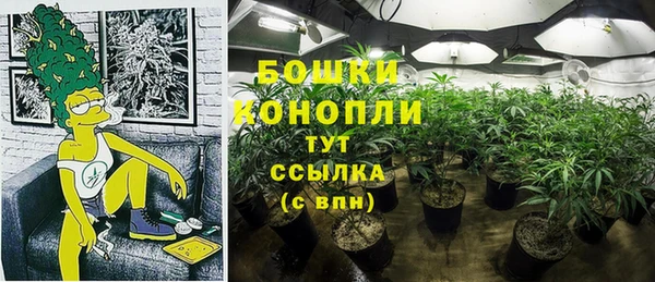 СК Ладушкин