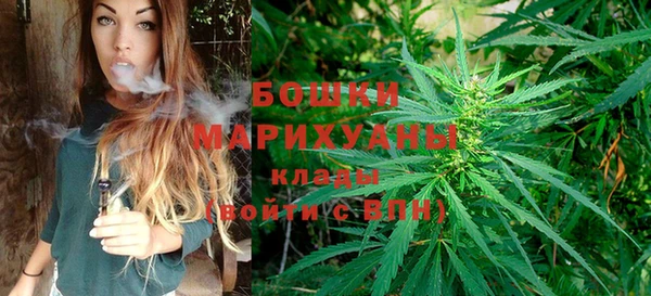 СК Ладушкин