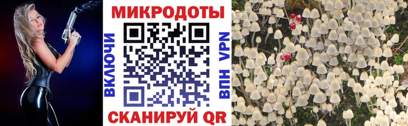 Галлюциногенные грибы Cubensis  Одинцово 