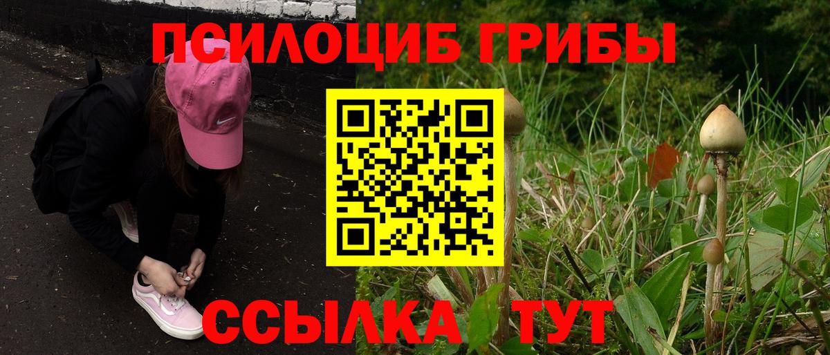 Одинцово  Псилоцибиновые грибы MAGIC MUSHROOMS  Вход с VPN 